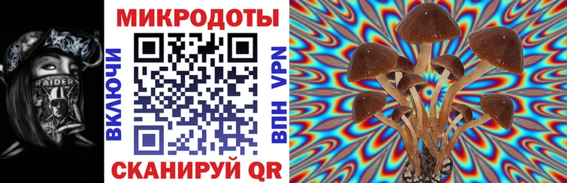 Галлюциногенные грибы Psilocybine cubensis  Купить где  Динская 